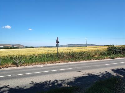 Picture 9